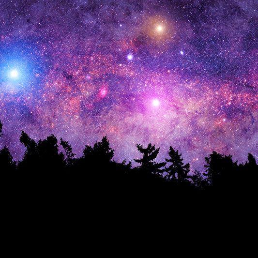 Beneath The Stars Soy Candle