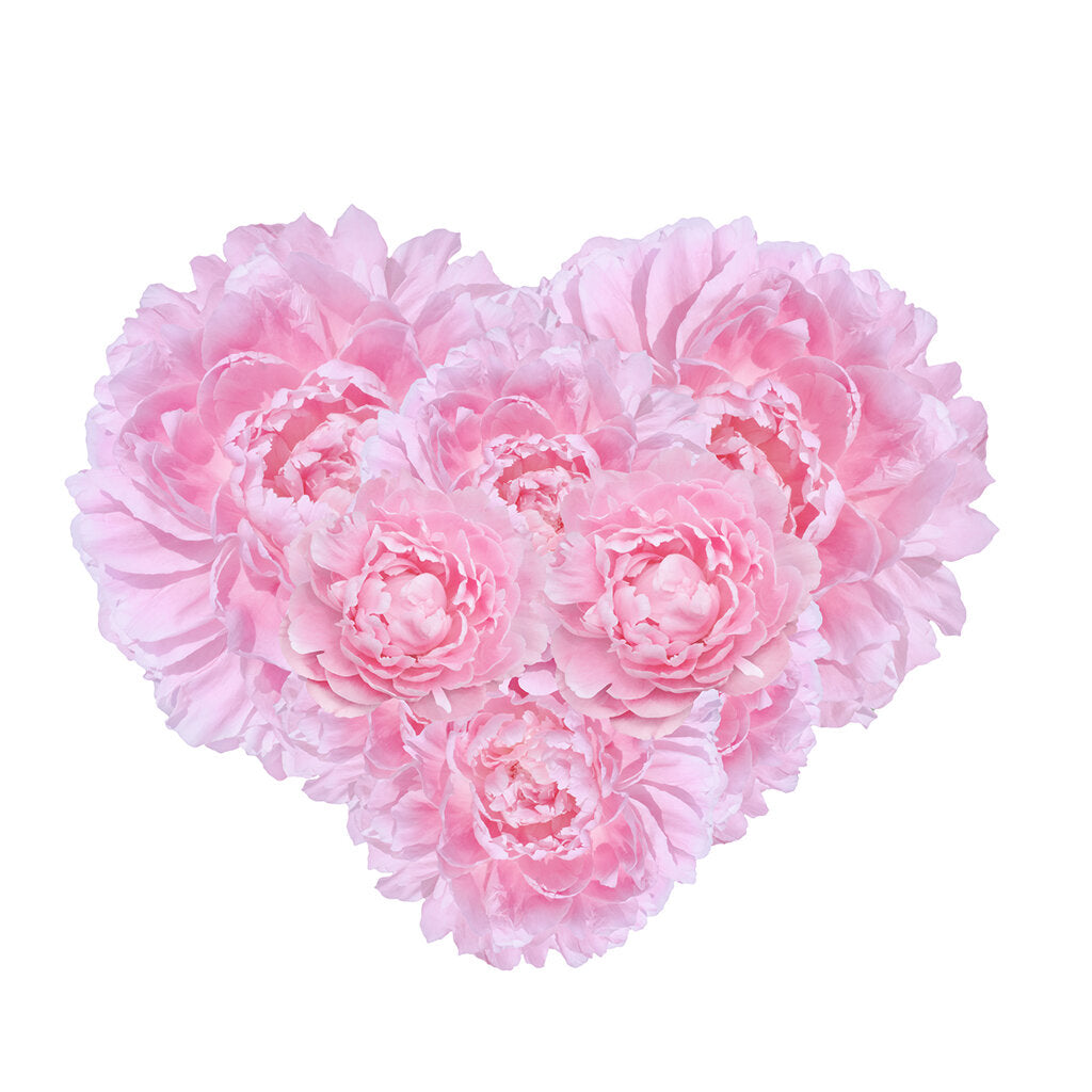 Mother's Love 3 Wick Soy Candle