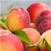 Peaches & Honey Soy Candle