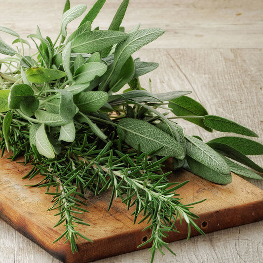Rosemary Sage Soy Candle