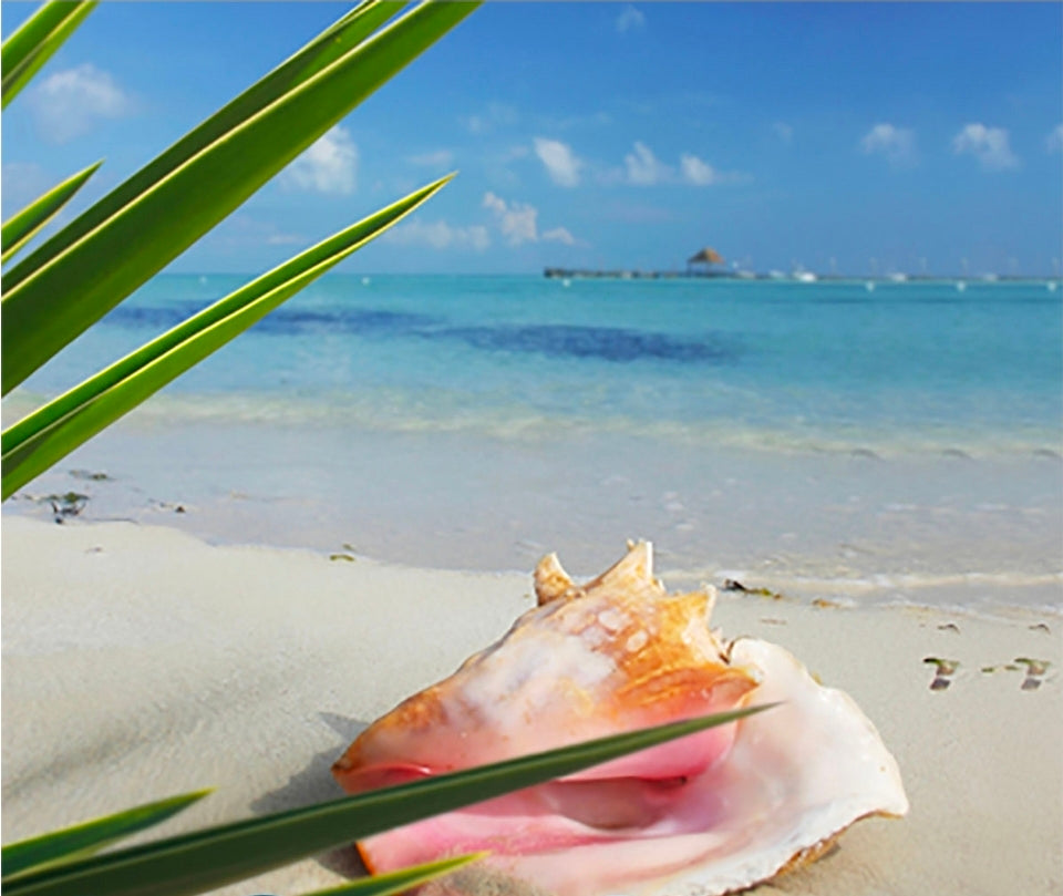 Kiss Me Coral Soy Candle