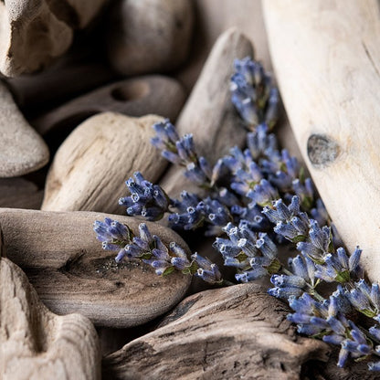 Lavender Driftwood 3 Wick Soy Candle