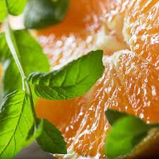 Clementine Zest Soy Candle